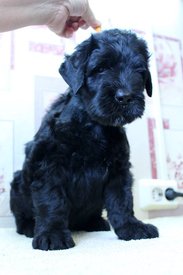 оо.jpg (51.35 КБ, Просмотров: 1949) оо.jpg