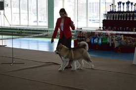 230997F4-6EFD-47ED-B0D2-A7971B14094D.jpeg (168.48 КБ, Просмотров: 11964) 230997F4-6EFD-47ED-B0D2-A7971B14094D.jpeg