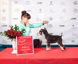 B6BA634F-2DC7-4C36-B03C-887327F276D4.jpeg (174.57 КБ, Просмотров: 10666) B6BA634F-2DC7-4C36-B03C-887327F276D4.jpeg