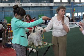 C332A947-8910-468A-A430-908FC63CDAFC.jpeg (188.24 КБ, Просмотров: 10666) C332A947-8910-468A-A430-908FC63CDAFC.jpeg