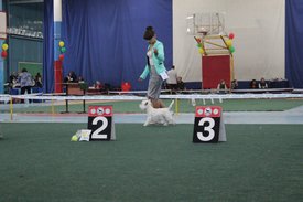 2065321E-9F35-4A52-9350-333CBB819C42.jpeg (171.27 КБ, Просмотров: 11368) 2065321E-9F35-4A52-9350-333CBB819C42.jpeg