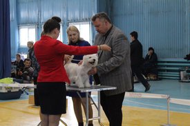 B884CD5B-211B-43D3-85FC-5E7ECDB106BE.jpeg (171.29 КБ, Просмотров: 6270) B884CD5B-211B-43D3-85FC-5E7ECDB106BE.jpeg