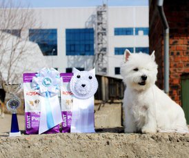 F59AA8E7-AA9E-42D6-86DF-C08FB4E9192F.jpeg (219.64 КБ, Просмотров: 6293) F59AA8E7-AA9E-42D6-86DF-C08FB4E9192F.jpeg