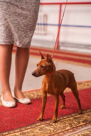 C96DC79A-B17C-461F-B794-6867CD739F56.jpeg (186.01 КБ, Просмотров: 6396) C96DC79A-B17C-461F-B794-6867CD739F56.jpeg