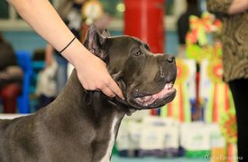 4202DACD-83F6-401F-9269-476B7CF3C952.jpeg (103.32 КБ, Просмотров: 6270) 4202DACD-83F6-401F-9269-476B7CF3C952.jpeg