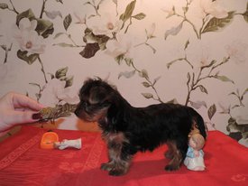 image (4).jpg (107.34 КБ, Просмотров: 1387) image (4).jpg