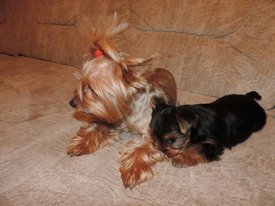 image (5).jpg (133.41 КБ, Просмотров: 1387) image (5).jpg