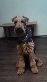 20180520_193945_.jpg (20.12 КБ, Просмотров: 9477) 20180520_193945_.jpg