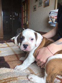 Attachment1.jpg (566.42 КБ, Просмотров: 1598) Attachment1.jpg