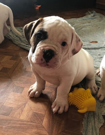 Attachment6.jpg (387.68 КБ, Просмотров: 1598) Attachment6.jpg