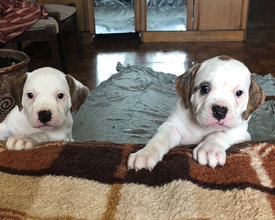 Attachment3.jpg (486.17 КБ, Просмотров: 1598) Attachment3.jpg