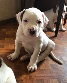 Attachment8.jpg (526.73 КБ, Просмотров: 1598) Attachment8.jpg