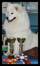 IMG_20170416_221748_105.jpg (67.92 КБ, Просмотров: 3439) IMG_20170416_221748_105.jpg