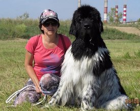 шеки 8).jpg (174.14 КБ, Просмотров: 3368) шеки 8).jpg