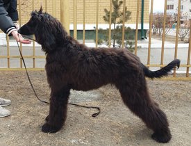 image (3).jpg (193.96 КБ, Просмотров: 1907) image (3).jpg