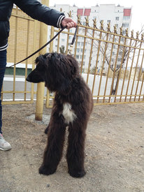 image (5).jpg (260.76 КБ, Просмотров: 1907) image (5).jpg