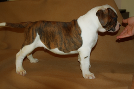 Гоша.png (851.81 КБ, Просмотров: 1536) Гоша.png