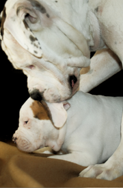 Мама с сыном.png (862.08 КБ, Просмотров: 1536) Мама с сыном.png