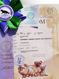 36421888_1899689390082493_773975535058419712_n.jpg (161.7 КБ, Просмотров: 17225) 36421888_1899689390082493_773975535058419712_n.jpg