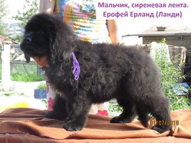 IMG_0517_LI.jpg (634.51 КБ, Просмотров: 3727) IMG_0517_LI.jpg