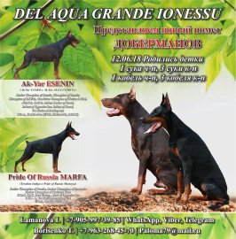 131.jpg (33.1 КБ, Просмотров: 2013) 131.jpg