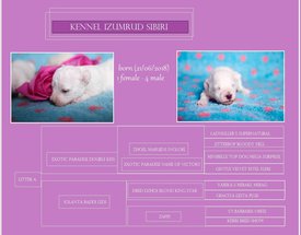 lKnXt4pMQEY.jpg (232.65 КБ, Просмотров: 3434) lKnXt4pMQEY.jpg