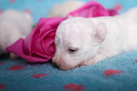 odPlYw8lkVw.jpg (76.28 КБ, Просмотров: 3780) odPlYw8lkVw.jpg