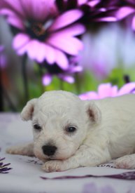 4587444400.jpg (111.79 КБ, Просмотров: 3434) 4587444400.jpg