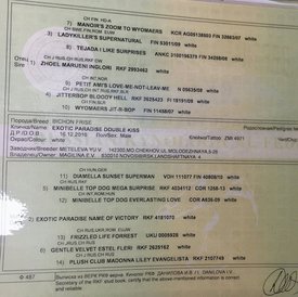 hPQMsD4kIGU.jpg (265.35 КБ, Просмотров: 3779) hPQMsD4kIGU.jpg