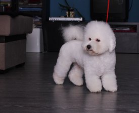 wOfZFN3J52M.jpg (139.34 КБ, Просмотров: 3780) wOfZFN3J52M.jpg