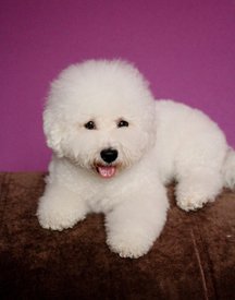 Yz07N0bY_fw.jpg (139.89 КБ, Просмотров: 3433) Yz07N0bY_fw.jpg