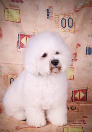 E4u51TJSGh8.jpg (94.5 КБ, Просмотров: 3433) E4u51TJSGh8.jpg