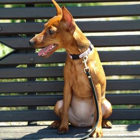 Луиза.jpg (94.15 КБ, Просмотров: 14485) Луиза.jpg