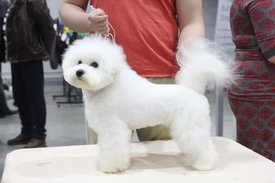 O8JKYBdhrMM.jpg (134.72 КБ, Просмотров: 3311) O8JKYBdhrMM.jpg