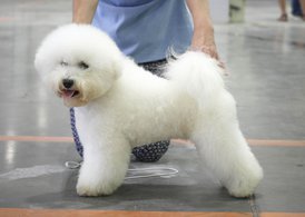 UVk52gNofNI.jpg (104.65 КБ, Просмотров: 3311) UVk52gNofNI.jpg