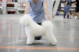 igKF3uLJh7I.jpg (73.24 КБ, Просмотров: 3311) igKF3uLJh7I.jpg