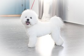 pYn0oIJtLAY.jpg (53.86 КБ, Просмотров: 3311) pYn0oIJtLAY.jpg