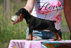 edUDA_u6sDY.jpg (470.7 КБ, Просмотров: 1926) edUDA_u6sDY.jpg