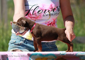 Gfx-IfD-N5M.jpg (453.89 КБ, Просмотров: 1926) Gfx-IfD-N5M.jpg