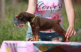 vrtNFAD7gvQ (1).jpg (465.8 КБ, Просмотров: 1925) vrtNFAD7gvQ (1).jpg