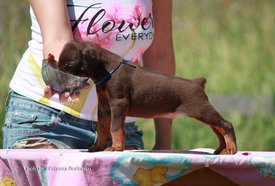 90XjIBpaZFY.jpg (456.95 КБ, Просмотров: 1925) 90XjIBpaZFY.jpg