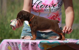 jMxnJRvBVAQ.jpg (422.09 КБ, Просмотров: 1925) jMxnJRvBVAQ.jpg