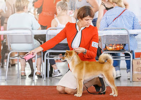 Тюмень1.jpg (304.21 КБ, Просмотров: 16377) Тюмень1.jpg