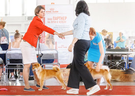 Тюмень3.jpg (285.3 КБ, Просмотров: 15501) Тюмень3.jpg