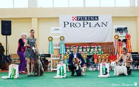 IMG_20180717_225537_230.jpg (178.87 КБ, Просмотров: 6536) IMG_20180717_225537_230.jpg