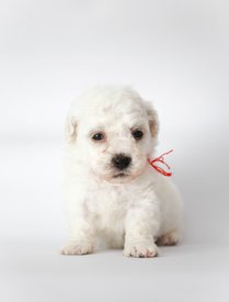 bNN-OIZaeTk.jpg (53.28 КБ, Просмотров: 3696) bNN-OIZaeTk.jpg