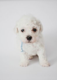 uQj64aCBB3w.jpg (46.54 КБ, Просмотров: 3696) uQj64aCBB3w.jpg