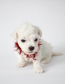 1ukht3ae6SA.jpg (66.98 КБ, Просмотров: 3350) 1ukht3ae6SA.jpg