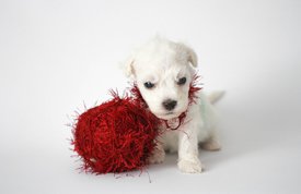 Bp0zODv_nP8.jpg (73.89 КБ, Просмотров: 3350) Bp0zODv_nP8.jpg