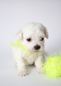 7r_eYZbaBis.jpg (67.87 КБ, Просмотров: 3350) 7r_eYZbaBis.jpg